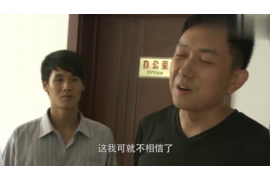 枣庄融资清欠服务